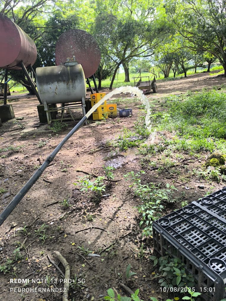 Finca en San Carlos Cojedes Venta - Image 15