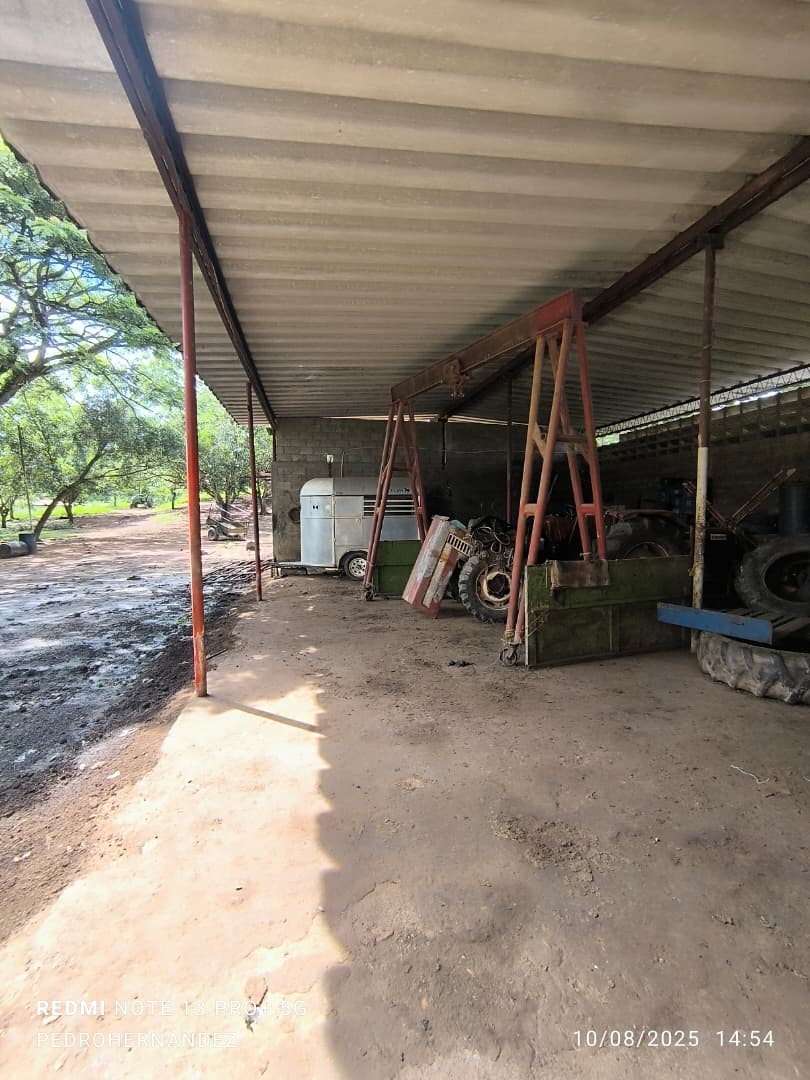 Finca en San Carlos Cojedes Venta - Image 16