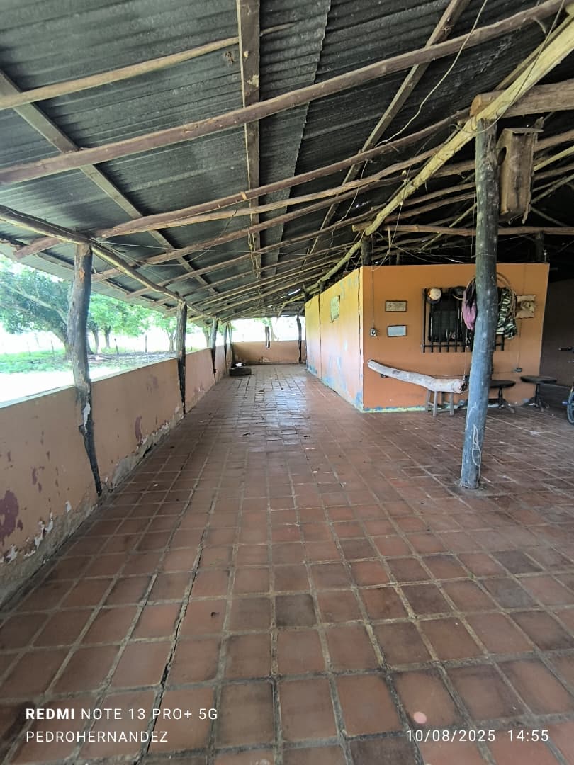 Finca en San Carlos Cojedes Venta - Image 20