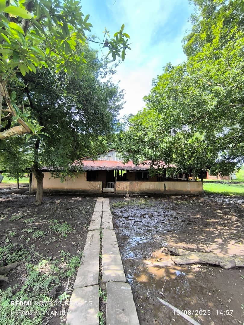 Finca en San Carlos Cojedes Venta - Image 21