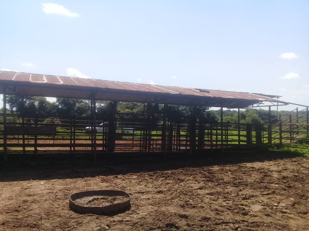 Finca en San Carlos Cojedes Venta - Image 5
