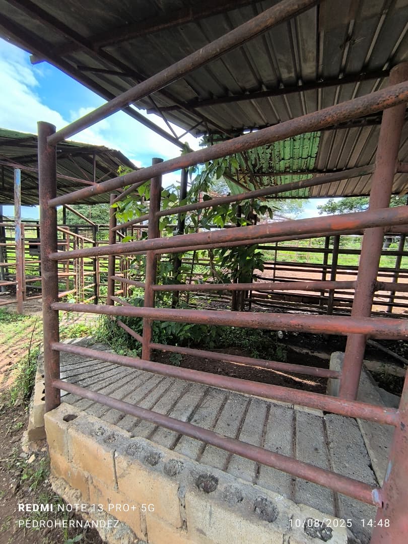Finca en San Carlos Cojedes Venta - Image 7