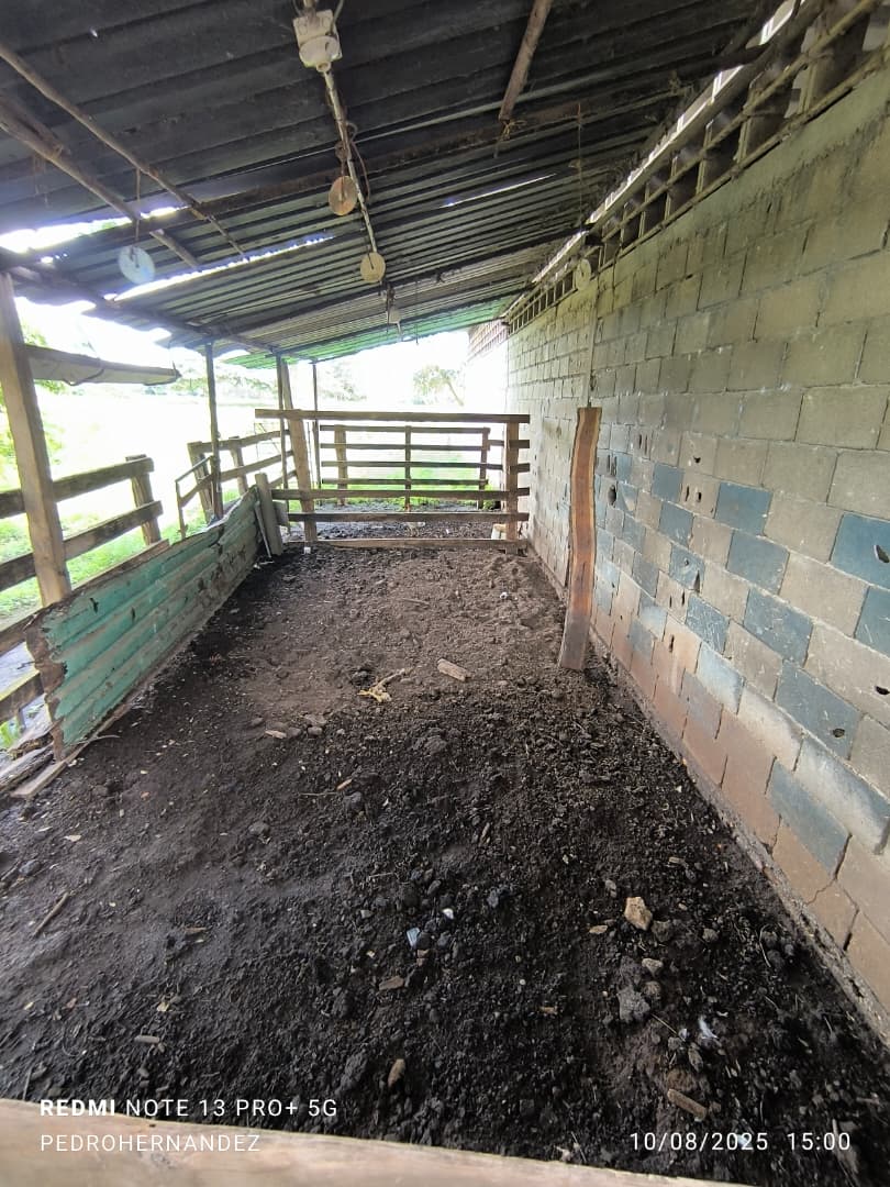 Finca en San Carlos Cojedes Venta - Image 8