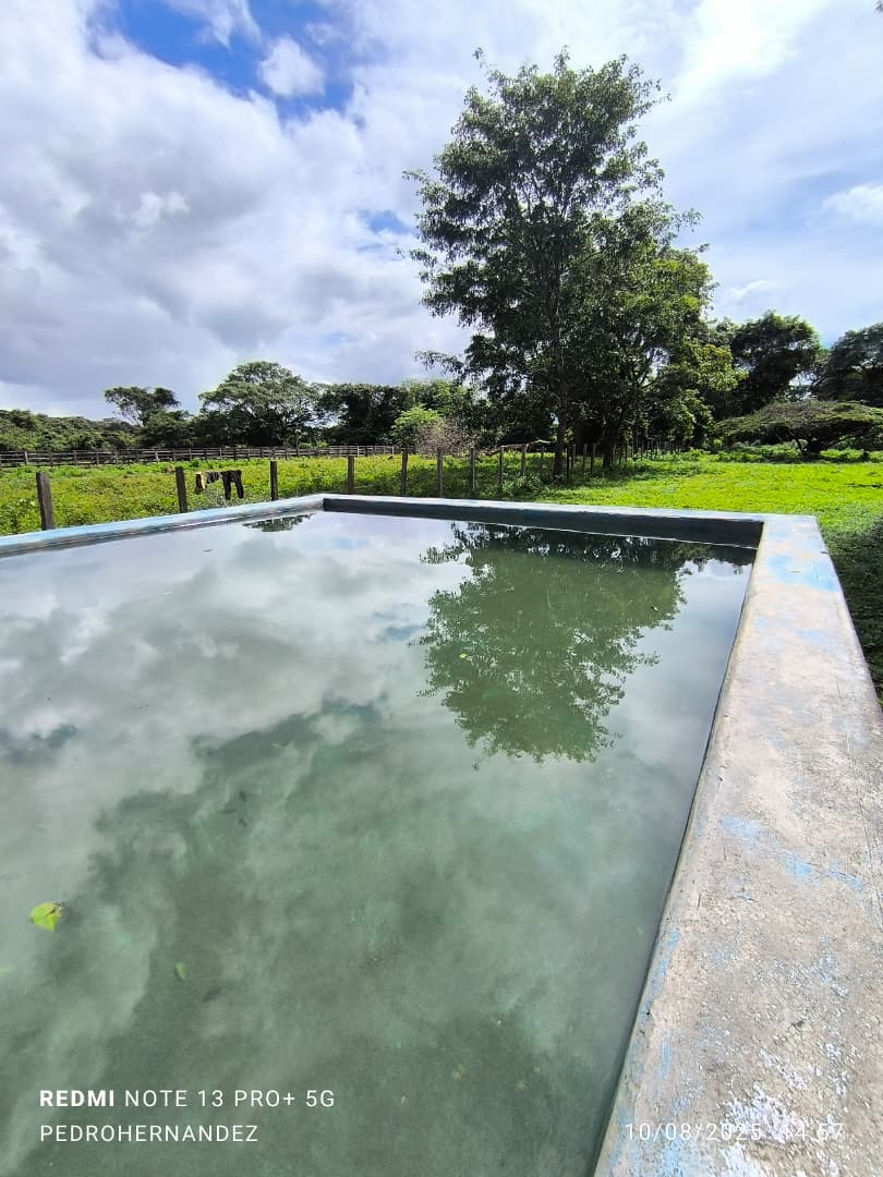 Finca en San Carlos Cojedes Venta - Image 10