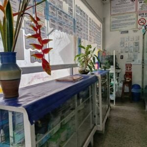 Av Bolivar Naguanagua Farmacia